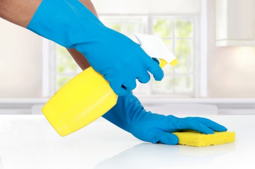 Trustworthy cleaning team from Olivia Cleaning Solutions