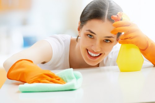 Advanced rug cleaning process demonstrated