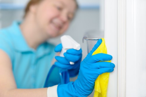 After builders cleaning professionals at work