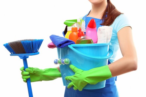 Professional cleaning services by Olivia