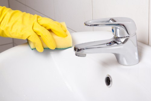 Eco-friendly cleaning products used by Olivia Cleaning Solutions