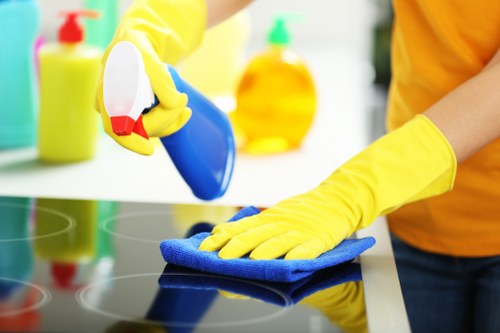 Scheduling carpet cleaning appointment with Olivia Cleaning Solutions