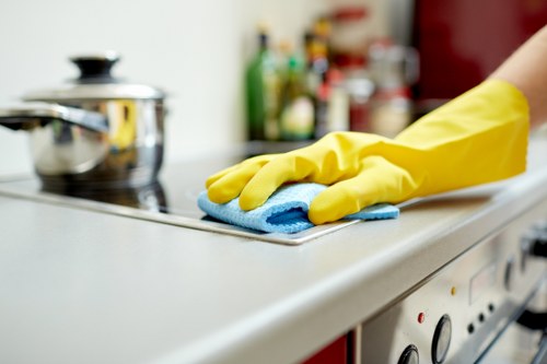 Eco-friendly cleaning practices in action