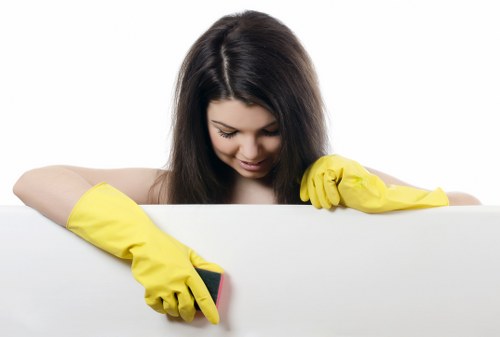 Eco-friendly cleaning products in use