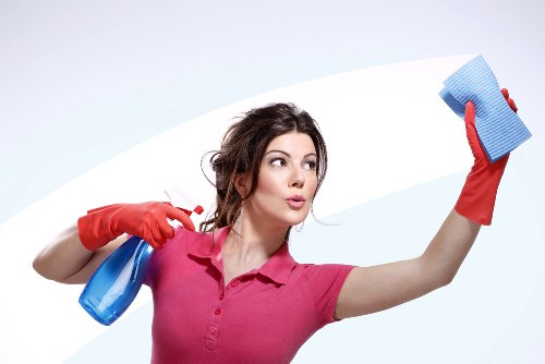 Professional window cleaning team at work